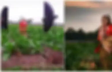 Gayanya Super Natural, Viral Seorang Nenek Berusia 85 Tahun Jago Jadi Foto Model, Foto Ciamiknya Curi Perhatian Netizen
