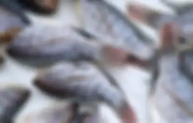 Perhatikan Menu Makanan Anda, Ikan-ikan Jenis Ini Harus Dihindari Jika Masih Ingin Sehat, Bisa Picu Munculnya Kanker Otak!