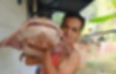 Sering Hadapi Risiko Diintai Ular Beracun, Inilah Pemburu Ikan Raksasa Generasi Terakhir di Sungai Batanghari Sumatera, Beratnya Sampai 30 Kg!