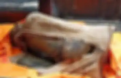 Mengenaskan, Pamit Beli Sarapan, Bocah Kelas 2 SMP di Deli Serdang Ditemukan Tewas dalam Karung dengan Wajah Hancur, Begini Kata Polisi