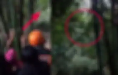 VIRAL! Ibu Lambai-lambaikan Tangan Panggil Nama Anaknya yang Hilang di Pohon Bambu, Sang Putra Ditemukan Nyaris Telanjang