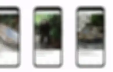 Begini Cara Melihat Dinosaurus Secara 3D Lewat Google Arts dan Culture