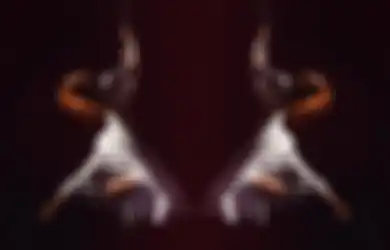 Santai Joged Striptis Umbar Aurat di Depan Kamera, Bidan Honorer Puskesmas di Sumatera Ini Nekat Bikin Video Bugil Pakai Aplikasi Boom Live, Ngaku Pengen Punya Banyak Pengikut dan Dapat Uang
