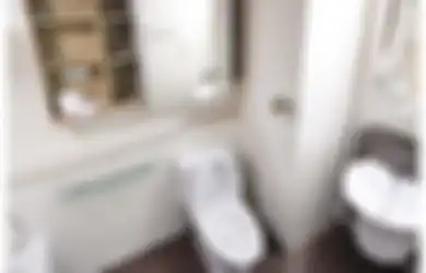 Tak Boleh Asal-asalan, Siram Kloset Ternyata Ada Adabnya, Tutup Dulu Kalau Tak Mau Kesehatan Seisi Rumah Terganggu!
