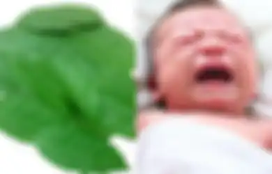 Gunakan Daun Salam untuk Meredakan Kolik Alami pada Bayi, Mau Coba?