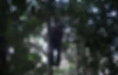 Bolak-balik Dicari Warganya untuk Dimintai Tanda Tangan, Pak Kades Ditemukan Tewas Tergantung di Pohon Belakang Kantornya Tanpa Tali, Ini Kata Polisi