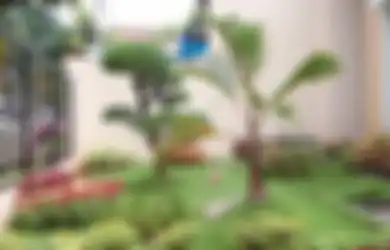 Musim Hujan adalah Saat yang Tepat  Membuat Taman, Ini Langkahnya