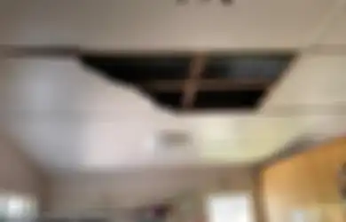 Lihat Langit-langit Rumah Roboh Setelah Ditinggal Pergi, Mengira Ada Pencuri Masuk, Pemilik Rumah Ini Lemas Ketakutan Tahu Biang Keladinya Bukan Manusia tetapi Makhluk Berbahaya Ini