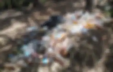 Bikin Netizen Ngamuk, Beredar Foto Tumpukan Botol Berisi Air Kencing di Gunung Cikuray