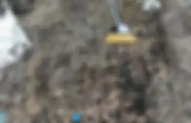 Beli Rumah Kumuh dengan Sampah Berserakan, Pria Ini Temukan 'Harta Karun' Bernilai Rp2,3 Miliar, 'Seperti Saya Telah Menemukan Tiket Lotere'