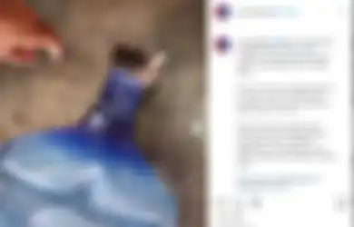Petugas Pemadam Kebakaran Sampe Turun Tangan Nolongin Kucing yang Kejebak dalam Galon