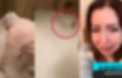 Ulang Tahun Berujung Maut, Selebgram ini Masukkan 25Kg Dry Ice ke Kolam Renang Hingga Sebabkan 3 Orang Tewas, Ketahui Bahaya Dry Ice yang Bisa Sebabkan Kematian