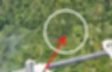 Mendarat Miring di Tanah Lembek, Helikopter yang Hilang Kontak Akhirnya Ditemukan di Tengah Belantara Hutan Papua, Begini Detik-detik Penemuan dan Kondisi Para Penumpangnya