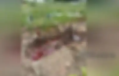 Geger Sebuah Makam Digenangi Cairan Merah Seperti Darah, Polisi Turun Sampai Tangan Menyelidiki