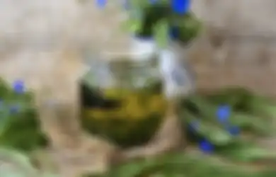 Awas! Minum Air Larutan Minyak Kayu Putih Ternyata Bisa Sebabkan Bahaya Besar, Begini Penjelasan Ahli