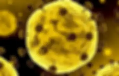 Covid Hari Ini 6 Oktober 2020: Masker Tidak Mempengaruhi Paru-paru, dan Simak Panduan Baru CDC Virus Corona Bisa Bertahan dan Menyebar di Udara