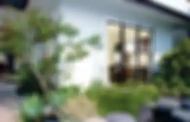 Membiarkan Batang Pohon Mati di Pekarangan Bisa Pancarkan Aura Negatif?