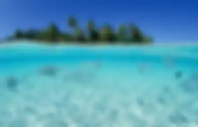5 Misteri Bawah Laut yang Belum Terungkap Hingga Kini Lantaran Tak Terjamah Manusia
