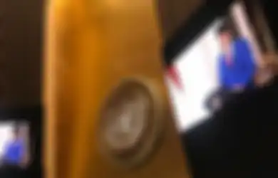 Disindir Negara Pasifik Ini Atas Tuduhan Pelanggaran HAM Warga Papua, Diplomat Indonesia Balas dengan Tegas: Vanuatu Jangan Ikut Campur Urusan Papua