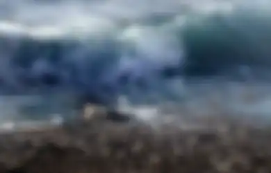 Ketua MPR Minta Pemda dan Masyarakat Untuk Terus Waspada Terhadap Potensi Tsunami Setinggi 20 Meter di Pantai Selatan Jawa