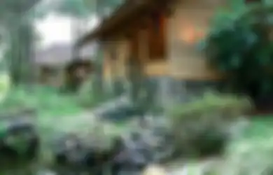 Tindakan Konkret Hemat Energi untuk Selamatkan Lingkungan dari Rumah