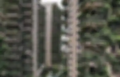 Tak Dirawat, Kompleks Hunian Berkonsep  Hutan Vertikal di China Jadi Sarang Nyamuk