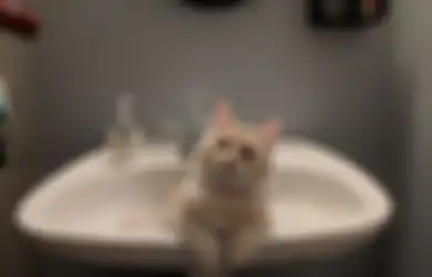Hati-hati, Kamar Mandi di dalam Kamar Tidur Berisiko Datangkan Bahaya yang Nggak Kita Sadari