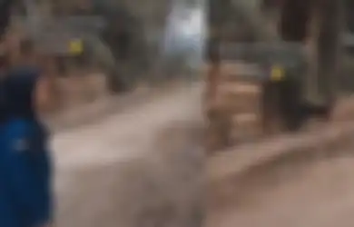 Suaranya Terus-terusan Ditimpali, Mahasiswi Palu Ini Teriak dan Marah-marah ke Seekor Kambing: Pas Aku Ngomong, Dia Langsung Bersuara