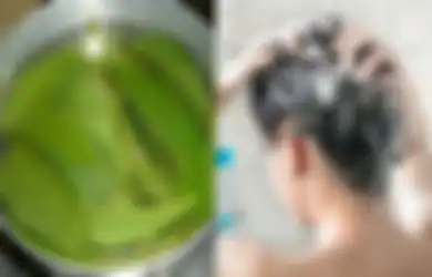 Nyesel Baru Tahu, Daun Jambu Biji Dapat Dimanfaatkan untuk Selamatkan Rambut Beruban, Simak Caranya Demi Hasil Maksimal