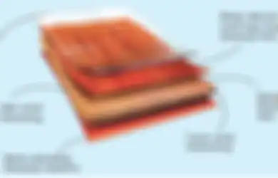 Jarang Diketahui, Ternyata Parket Laminate Tahan Gores dan Tahan Air!