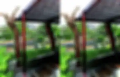 Hiasan Fungsional dan Estetik untuk Taman dengan Manfaatkan Pohon Mati