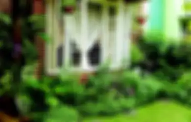 Suhu Nyaman di Rumah Tropis, Bisa Diupayakan dengan Cara  Apa Saja?
