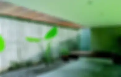 Sumber Cahaya Alami untuk Rumah Ternyata Ada Dua Jenis, Ini Bedanya!
