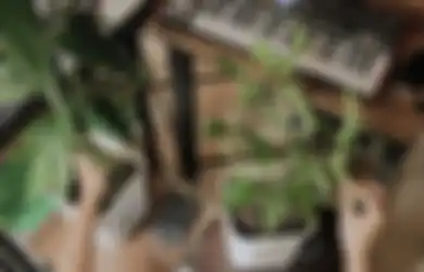Gokil! Bisa Dengerin Suara Tumbuhan, Bottlesmoker Hubungkan Tanaman ke Synthesizer
