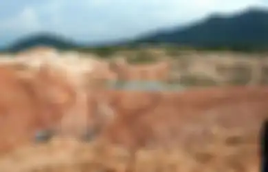 Tersembunyi di Pedalaman Kalimantan, Inilah Rare Eart Harta Karun Indonesia Disinggung Luhut Bakal Jadi Incaran Dunia