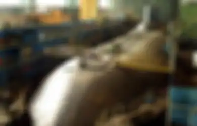 Jauh Sebelum Insiden KRI Nanggala-402, Rupanya Meteri Pertahanan Sudah Disodori Dua Kapal Canggih dari Eropa Ini, Akankah Kapal Selam Ini Akan Diboyong Indonesia?