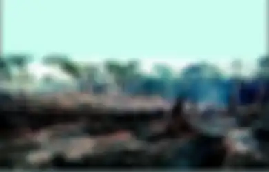 Perusahaan Korea Selatan Disebut-sebut Jadi Dalang di Balik Kebakaran Hutan di Papua, KLHK Bertanya-tanya: Kenapa Baru Diekspos Sekarang?