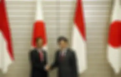 Klaim Indonesia Sebagai Negara dengan Ekonomi Terbesar di Asia Tenggara, Jepang Ingin Bersekutu dengan Indonesia untuk Hadapi China, 'Kami Bisa Menghasilkan Pondasi yang Kuat di ASEAN'