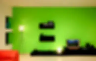 Gunakan Warna dan Panel pada Dinding, Ciptakan Dua Kesan Ini