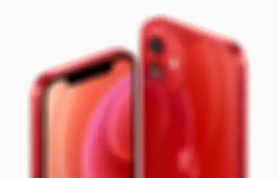 Ini Harga HP Second iPhone 12 256GB September 2022, Desainnya Menarik