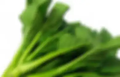 Jangan Sampai Kecolongan, Orang dengan Kondisi Ini Ternyata Dilarang Keras Konsumsi Sayur Sawi Berlebihan, Hati-hati Nyawa Jadi Taruhannya
