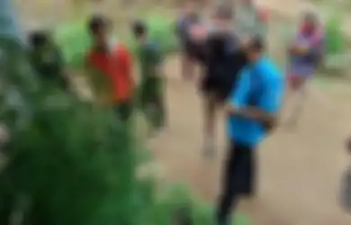 Ngakunya Tanam Ganja Buat Diteliti Jadi Pupuk Organik, Pria Asal Tasikmalaya Ini Ditangkap Polisi, 45 Batang Ganja dalam Polybag Disita dari Rumahnya