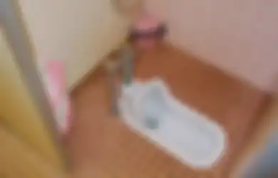 Bagian-bagian pada Toilet Duduk dan Jongkok Hingga Cara Kerjanya!