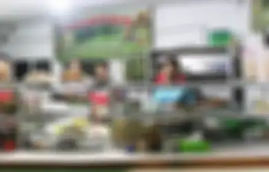 Kabar Gembira Para Pengusaha Warteg Sampai PKL, Pemerintah Siapkan Bantuan Sebesar Rp 1,2 Juta
