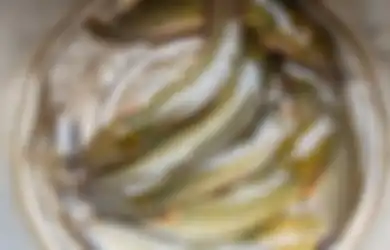 Kandungan Nutrisinya Setara dengan Ikan Salmon, Lendir Ikan Lele Mudah Dibersihkan dan Gak Pakai Ribet, Begini Caranya