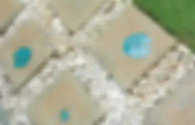 Terungkap, Ide Menyulap Barang Bekas Jadi Penghias Taman yang Cantik, Stepping Stone dari Pecahan Keramik