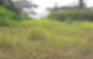 Begini Trik Cerdas Mengurangi Risiko ketika Membeli Lahan Kosong