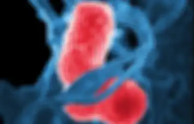 Mengenal Pneumonia, Indonesia Peringkat Ke-7 Dunia Kematian Balita karena Penyakit Ini