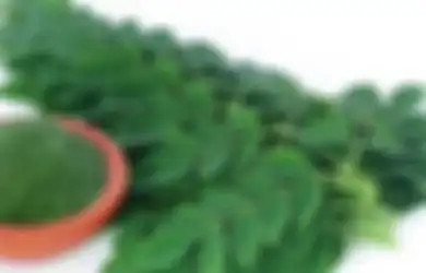 Menguak Segudang Manfaat Daun Kelor yang Ternyata Bisa Buat Wajah Glowing Bak Perawatan Mahal