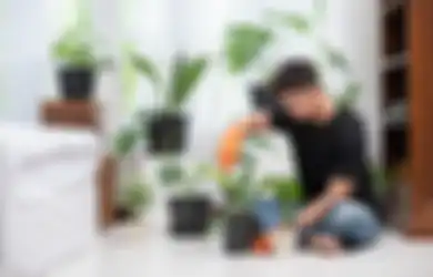 Perhatian Buat Orangtua yang Punya Anak Balita, Meski Terlihat Cantik Ternyata 8 Tanaman di Pekarangan Rumah Ini Beracun, Bisa Sebabkan Ruam Kulit Hingga Kematian!